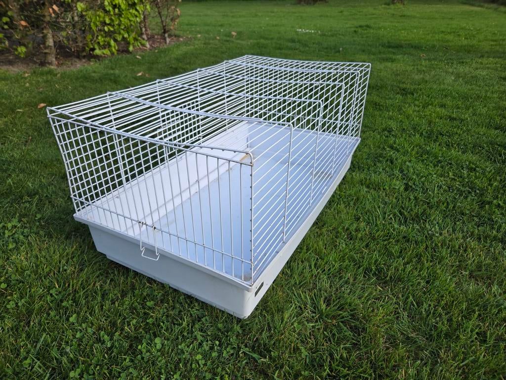 Kooi huisdieren konijn, cavia, Dieren en Toebehoren, Ophalen, Kooi, Cavia