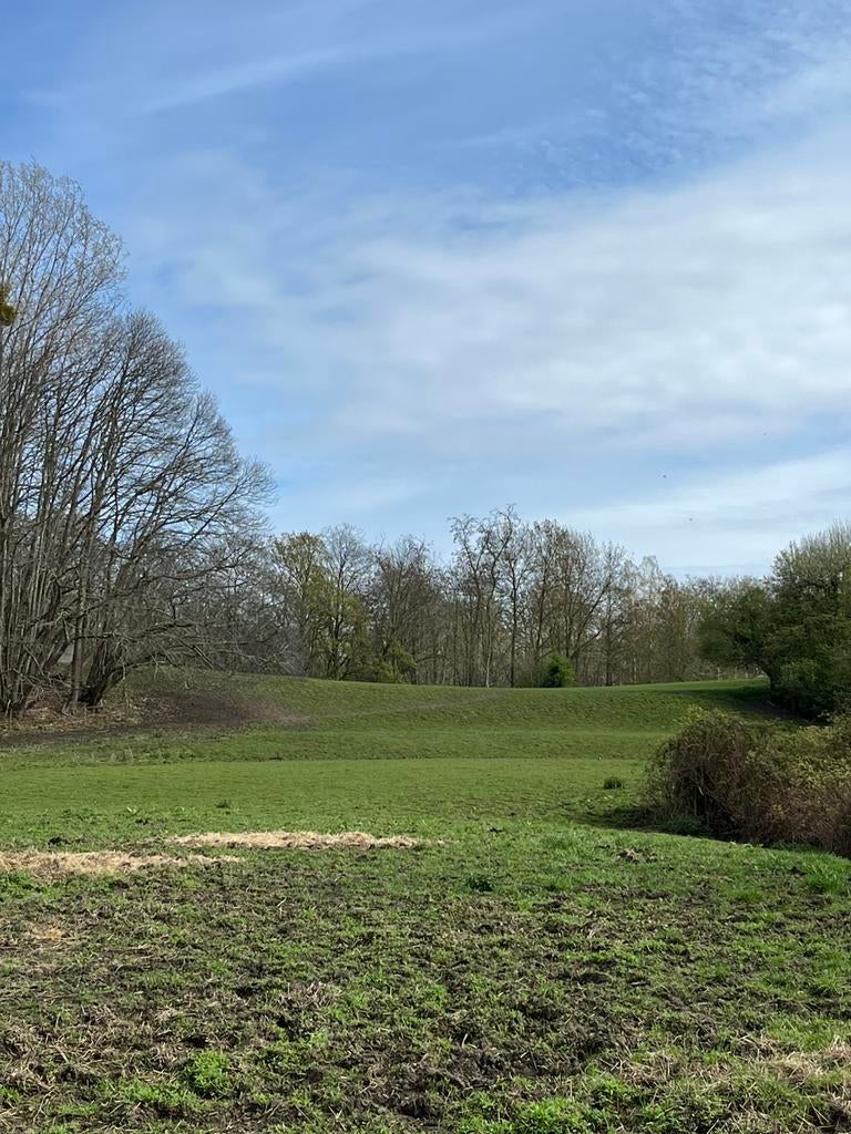 Prairie à Beersel pour double poney ou petit cheval rustique, Animaux & Accessoires, Pâturage, 1 cheval ou poney