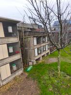 Betonnen konijnenhokken, Enlèvement