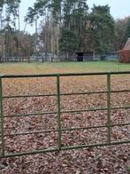 Weide met stalling en ruime paddock. 24/7 buitenloop, Dieren en Toebehoren, Stalling