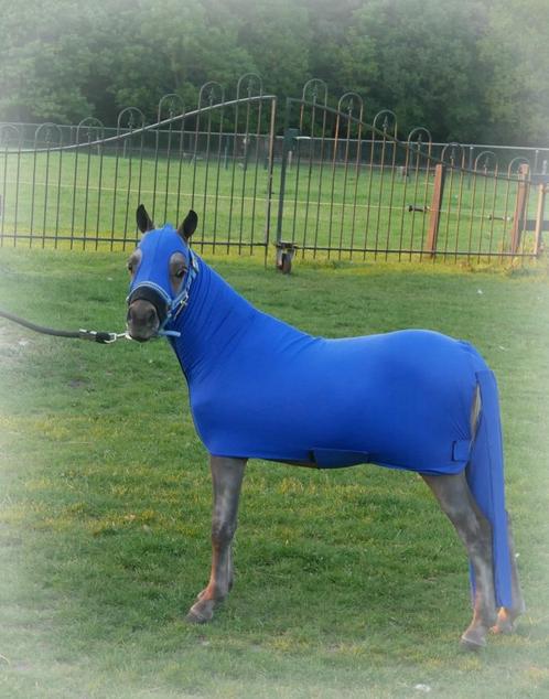 zwarte full boysize slinky voor miniatuurpaard, Dieren en Toebehoren, Paarden en Pony's | Dekens en Dekjes, Nieuw, Deken, Ophalen