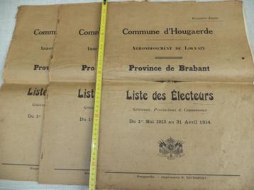 1913-14 Liste des citoyens ayant le droit de vote Hoegaarden