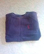 Next Trui, Nieuw, Ophalen of Verzenden, Maat 46 (S) of kleiner, Next