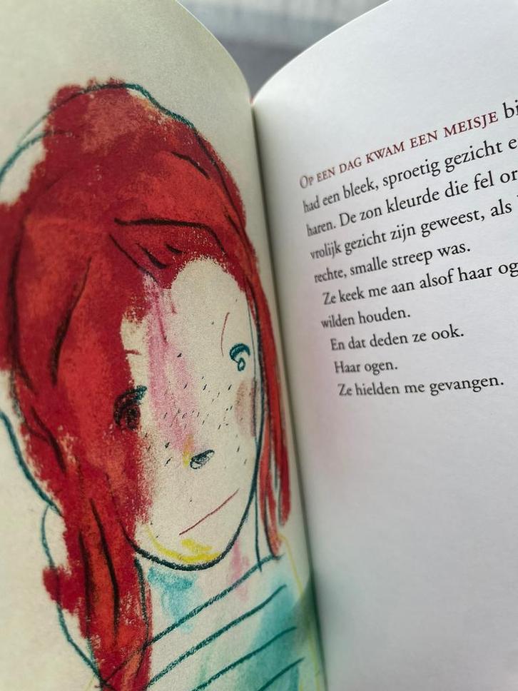 Paul Verrept - De bank, Boeken, Kinderboeken | Jeugd | 13 jaar en ouder, Zo goed als nieuw, Ophalen of Verzenden