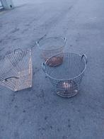 mooie  lot stevege maanden te koop, Ophalen