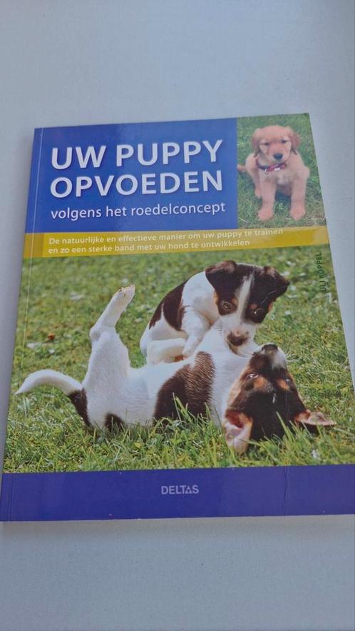 U. Köppel - Uw puppy opvoeden volgens het roedelconcept, Livres, Animaux & Animaux domestiques, Comme neuf, Enlèvement ou Envoi