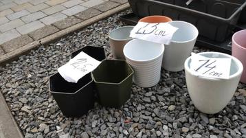 Bloempot vanaf 1€/stuk beschikbaar voor biedingen