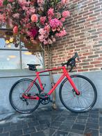 Merk Guercitti carbon kleur rood maat XL, Fietsen en Brommers, Fietsen | Racefietsen, Carbon, Heren, Zo goed als nieuw, Ophalen