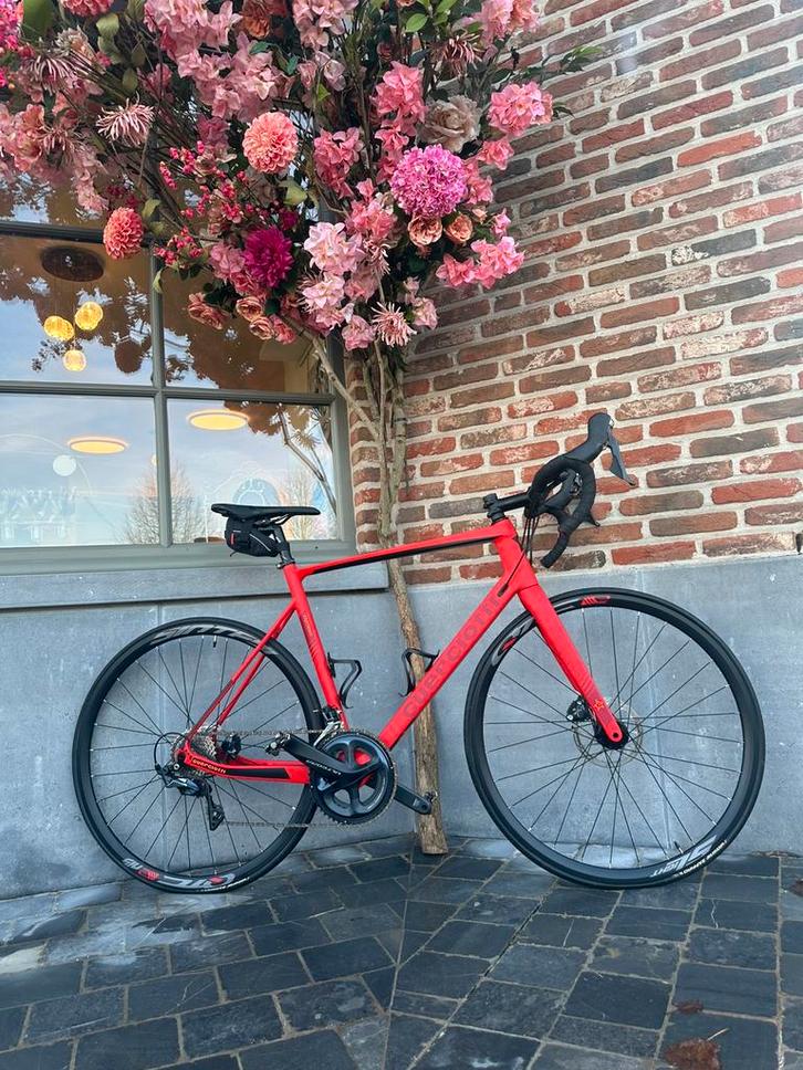 Merk Guercitti carbon kleur rood maat XL, Fietsen en Brommers, Fietsen | Racefietsen, Zo goed als nieuw, Heren, Overige merken