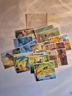 19 photos de JUNGLE BOOK anno 1967, Envoi, Neuf