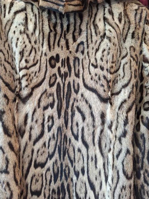 Prachtige bonten mantel/jas luipaard Uniek stuk Authentiek !, Kleding | Dames, Jasjes, Kostuums en Pakken, Zo goed als nieuw, Jasje