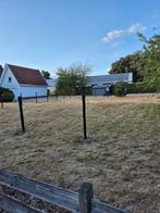 Weidemaatje/ stadgenootje gezocht, Dieren en Toebehoren