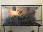 Terrarium en toebehoren, Ophalen, Gebruikt, Terrarium of Paludarium