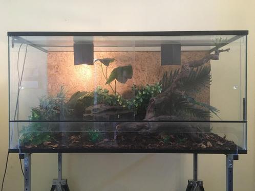 Terrarium en toebehoren, Dieren en Toebehoren, Reptielen en Amfibieën | Toebehoren, Gebruikt, Terrarium of Paludarium, Ophalen