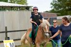 Ik zoek een B Of C Pony, Dieren en Toebehoren, Paarden en Pony's | Trailers en Aanhangwagens, Ophalen