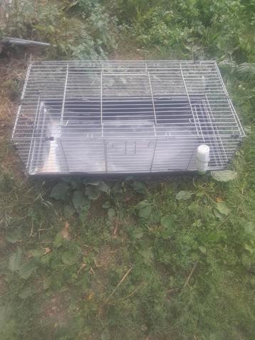 Kooi  beschikbaar voor biedingen