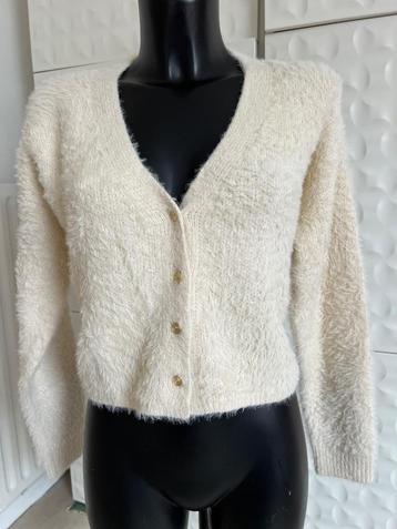 Gilet Charlior pour femme : Taille Unique  beschikbaar voor biedingen