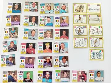 panini beschikbaar voor biedingen