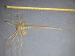 Alien Facehugger, Ophalen of Verzenden, Zo goed als nieuw, Film, Actiefiguur of Pop