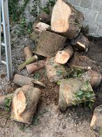 Gratis brandhout, Tuin en Terras, Brandhout, Ophalen