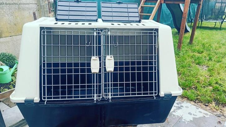 Bench auto, Dieren en Toebehoren, Transportboxen, Zo goed als nieuw, Ophalen