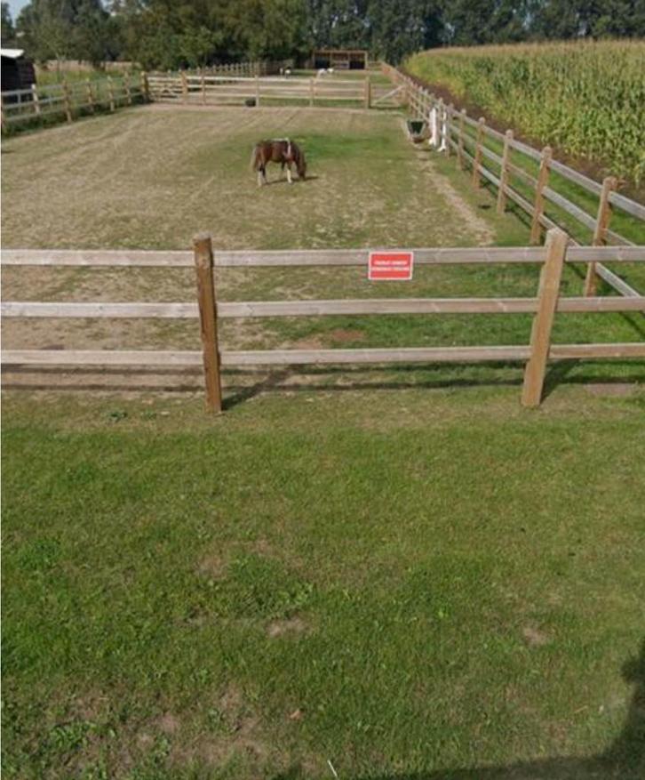 Weide te koop, Dieren en Toebehoren, Stalling en Weidegang, 2 of 3 paarden of pony's