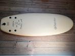 4'10 surfboard catchsurf twig, Watersport en Boten, Golfsurfen, Ophalen, Zo goed als nieuw