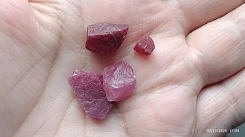 Veel natuurlijke rauwe robijnen uit Tanzania beschikbaar voor biedingen