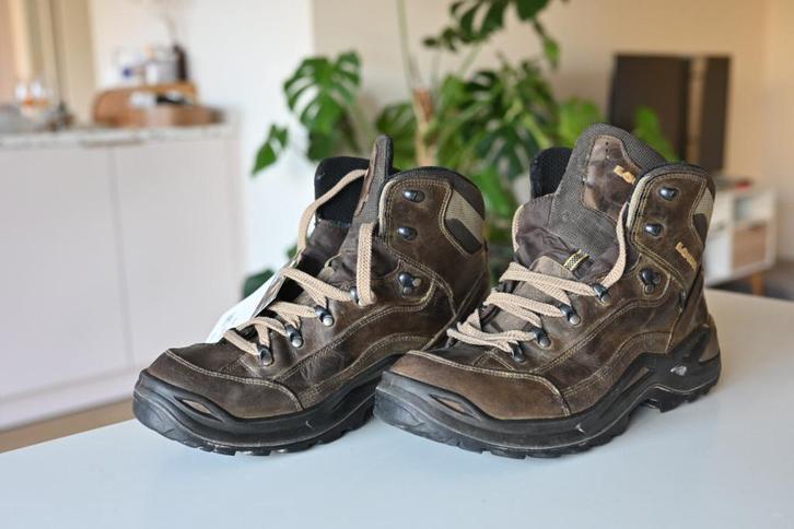 Lowa Renegade GTX wandelschoenen 45, Kleding | Heren, Schoenen, Gedragen, Wandelschoenen, Bruin, Ophalen of Verzenden