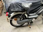 Honda Camino DX, Bedrijf, Overig