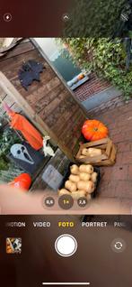 pompoenen te koop, Ophalen