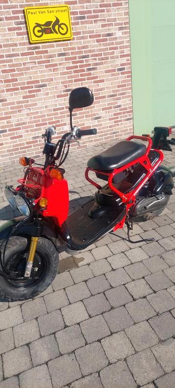 Zoomer Honda Classe B  disponible aux enchères