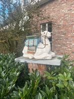 Kameel, Tuin en Terras, Tuinbeelden, Ophalen, Zo goed als nieuw