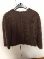 Jasje Gigue 40, Kleding | Dames, Truien en Vesten, Bruin, Verzenden, Zo goed als nieuw, Gigue