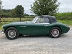 Austin Healy 3000 1966 - condition optimale, Achat, Entreprise, Autres carburants, Autre carrosserie