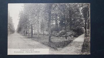 Postkaart Vorsselaer Vorselaar Kasteeldreef  beschikbaar voor biedingen