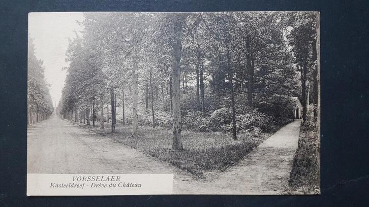 Postkaart Vorsselaer Vorselaar Kasteeldreef, Verzamelen, Postkaarten | België, Ongelopen, Antwerpen, 1920 tot 1940, Ophalen of Verzenden