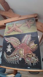 Toile didactique deco loft vintage Astérie, Ophalen