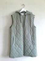 Primark - mooie lichtgewicht vest zonder mouwen met kap - li, Vêtements | Femmes, Vestes | Été, Comme neuf, Vert, Primark, Taille 38/40 (M)
