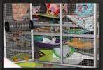 Aluminium knaagdierkooi, Dieren en Toebehoren, Knaagdieren en Konijnen | Hokken en Kooien, Ophalen, Kooi, Rat, 60 tot 90 cm