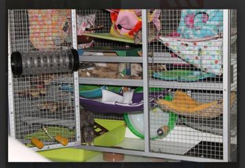 Aluminium knaagdierkooi beschikbaar voor biedingen