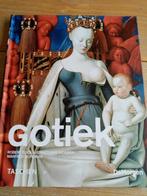 Gotiek - De Morgen Geschiedenis van de kunst, Boeken, Ophalen of Verzenden, Zo goed als nieuw