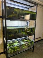 Aquarium kweek bakken gratis op te halen, Enlèvement ou Envoi, Comme neuf
