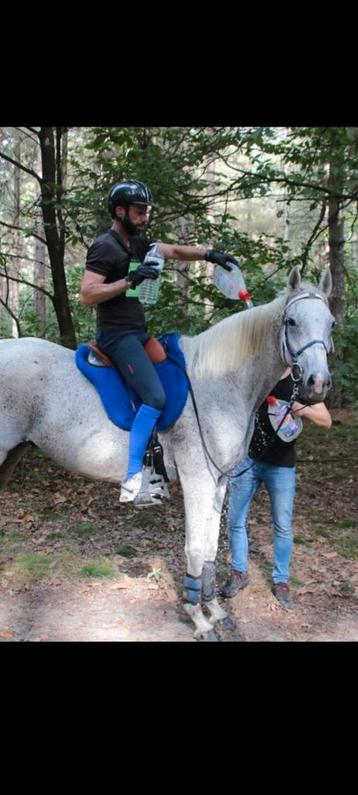 Selle d'endurance FLY, Enlèvement ou Envoi