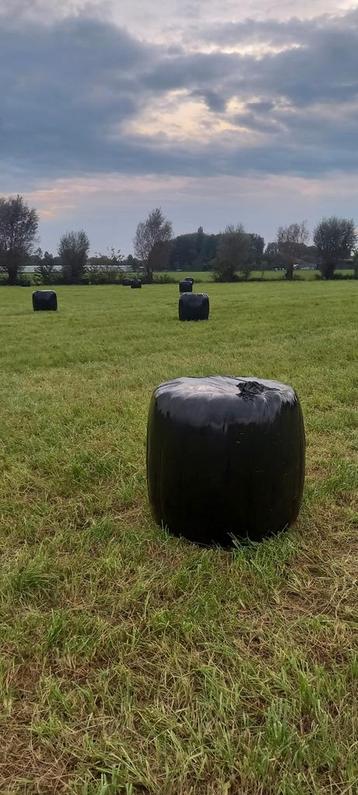 Midi balen  disponible aux enchères