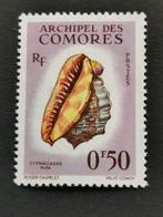 Comoren 1962 - onderwaterfauna - schelpen - zeeslak *, Ophalen of Verzenden, Overige landen, Postfris