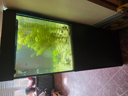 Juwel lido 200 1jaar oud, Dieren en Toebehoren, Vissen | Aquaria en Toebehoren, Zo goed als nieuw, Gevuld zoetwateraquarium, Ophalen