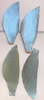 4 pièces cuir de poisson tilapia cuir exotique bleu perlé, Hobby & Loisirs créatifs, Tissus & Chiffons, Neuf, Moins de 30 cm, Moins de 30 cm