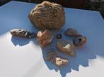 Stenen en fossielen waaronder pyriet, geode, koraal,..., Ophalen of Verzenden, Fossiel