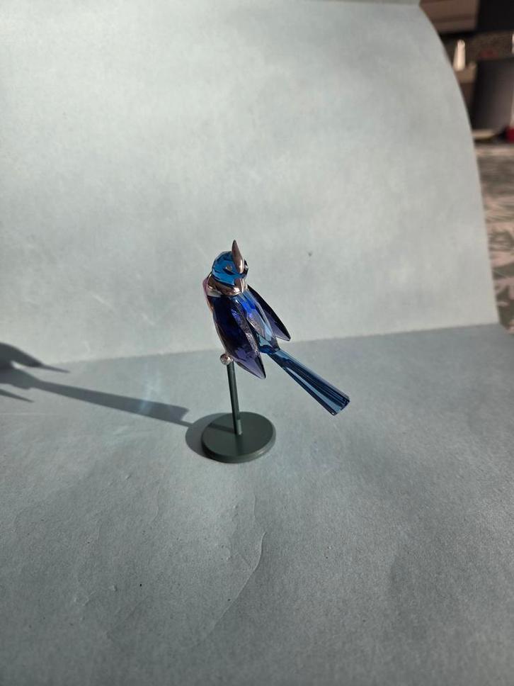 Oiseau SWAROVSKI BENUA DARK SAPPHIRE, Collections, Swarovski, Figurine, Enlèvement